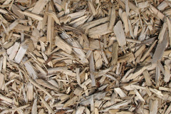 biomass boilers Urgashay